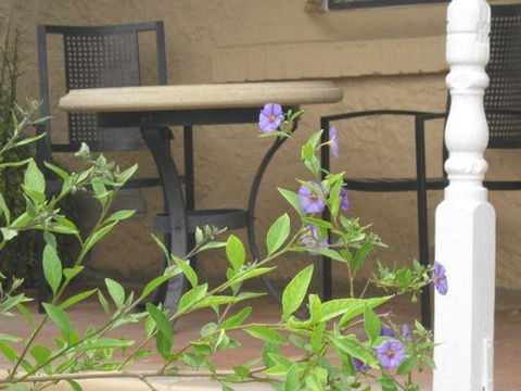 Amalie Cottage Waikerie - Accommodation Nelson Bay 0