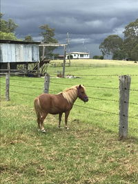 AMs Farm Stay