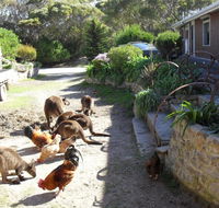 Anchorage Apartments - Accommodation Nelson Bay