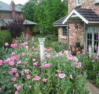 Annie's cottage - Accommodation Nelson Bay