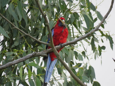 Arnold House - Nelson Bay Accommodation.com 2
