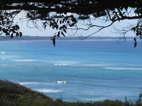 Maizies View - A Hidden Gem - Nelsons Bay Accommodation 1