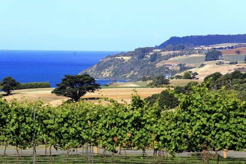 Mallavale Farm, Boat Harbour - Accommodation Nelson Bay 0