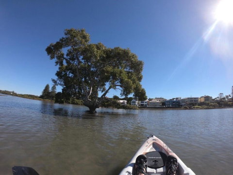 Moreton Bay Beach Lodge - Accommodation Nelson Bay 1