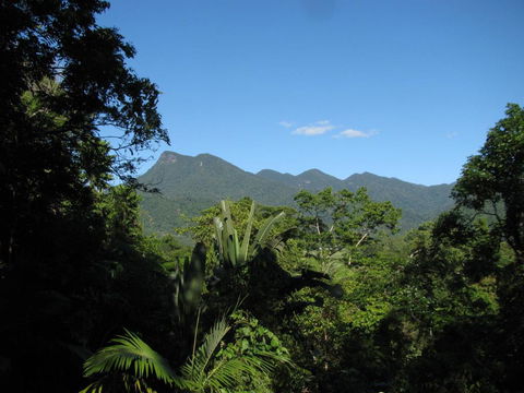 Mossman Gorge Bed And Breakfast - Accommodation Nelson Bay 0
