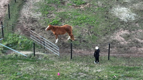 Myrtle At Lexington Park - Accommodation Nelson Bay 1