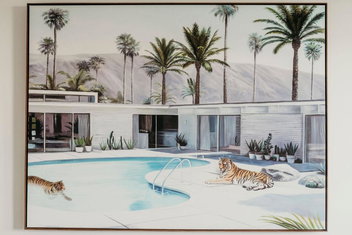 Nelson Palms with Accommodation Nelson Bay