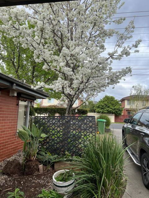 Newly Refurbished House- SuperFast Internet - Accommodation Nelson Bay 2