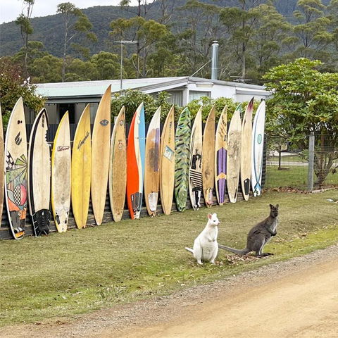 NOFOMO AT ADVENTURE BAY - Accommodation Nelson Bay 0