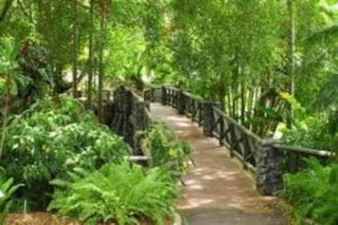 Paddington Pad With Back Deck And Free Car Space Close To Suncorp - Accommodation Nelson Bay 2
