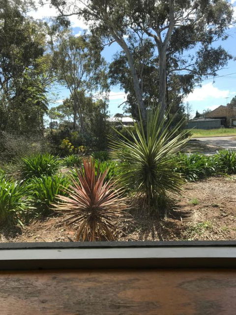 Paradise Grove - Nelsons Bay Accommodation 2