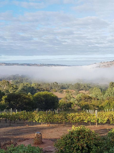 Pecan Hill BNB - Accommodation Nelson Bay 0