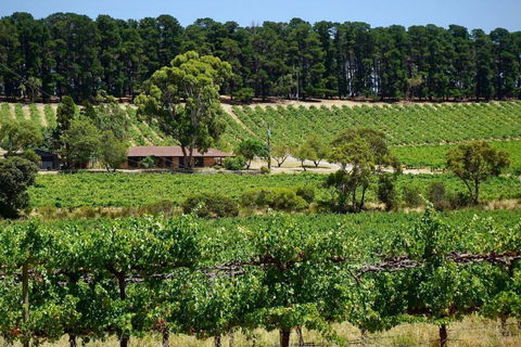 Picturesque Vineyard Farmhouse Nestled On 40-Acres - Nelsons Bay Accommodation 0