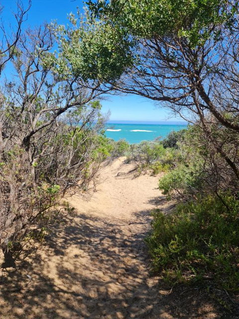 PIECE OF PARADISE, Huge 4 Bedroom Haven - Nelson Bay Accommodation.com 0