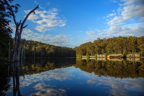 RAC Karri Valley Resort - Accommodation Nelson Bay 3
