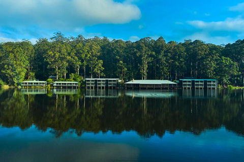 RAC Karri Valley Resort - Accommodation Nelson Bay 2