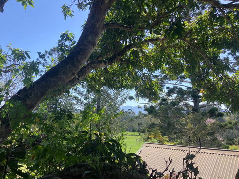 Potters Cottage - Accommodation Nelson Bay 3