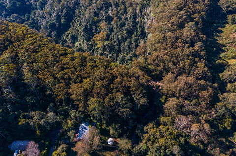Purling Brook Falls Gwongorella - Accommodation Nelson Bay 2