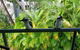 Baden 45 - Rainbow Shores, Beachside Unit, Aircon, Swimming Pool, Tennis Court - thumb 3