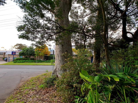 Bay & Basin - Accommodation Nelson Bay 2