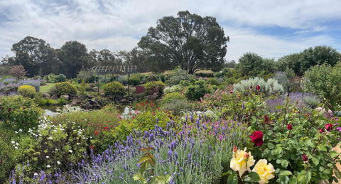 River Gardens Axedale Pet Friendly Farmstay B&B - Accommodation Nelson Bay 0