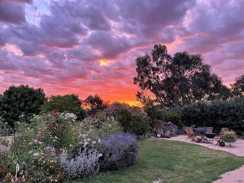 River Gardens Axedale Pet Friendly Farmstay B&B - Accommodation Nelson Bay 3