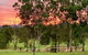 Rosehill Cottage And Bush Retreat - thumb 2