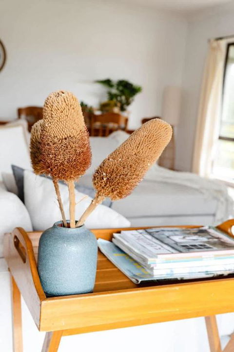 Salt Bush Cottage Peterborough - Accommodation Nelson Bay 1