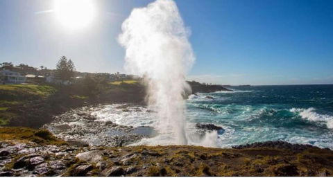 SALTY PALMS -Seaside Studio Apartment - Nelson Bay Accommodation.com 2