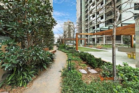 Sakura Apartment - Accommodation Nelson Bay 3