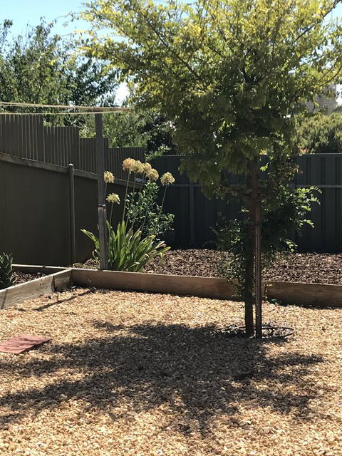 Beatty Cottage - Accommodation Nelson Bay 2