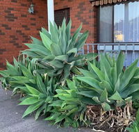Beautiful Bedroom in Bentleigh East - Accommodation Nelson Bay