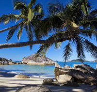 Bedarra Beach House - Accommodation Nelson Bay