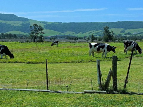 Bella Vista - Nelson Bay Accommodation.com 3