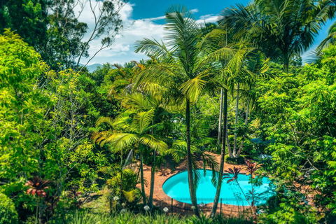 Bella Vista Bellingen - Accommodation Nelson Bay 1