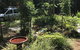 Bellarose Guest House - thumb 1