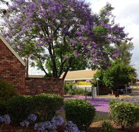 Belvoir Village Motel  Apartments Wodonga - Accommodation Nelson Bay