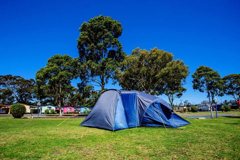 BIG4 Traralgon Park Lane Holiday Park - Accommodation Nelson Bay 2