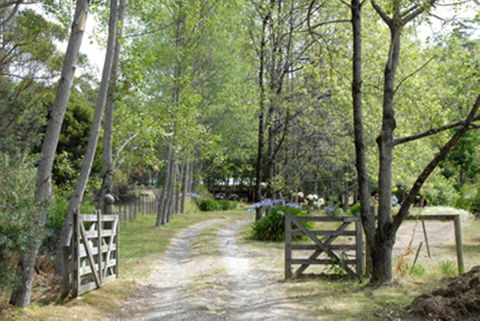 Birdwing Bed And Breakfast Weegena - Accommodation Nelson Bay 3