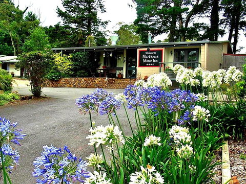 Blackheath Motor Inn - Accommodation Nelson Bay 0