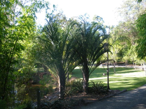 BoBRENE On Tamborine Nude Retreat - Quaint Cottage - Accommodation Nelson Bay 2