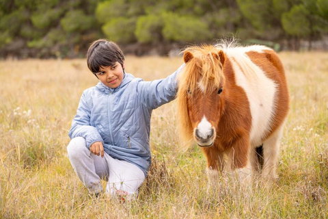 The Little Grove Retreat By Tiny Away - Accommodation Nelson Bay 3