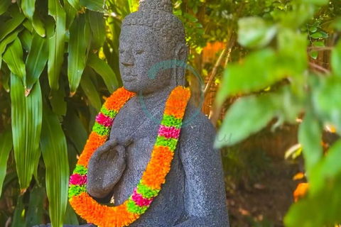 Zenhouse: 6-BR Balinese Tropical Oasis In Nightcliff Central - Accommodation Nelson Bay 3