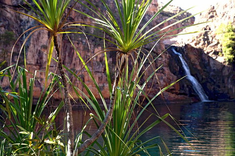 3-Day Kakadu 4WD Camping Safari From Darwin - Accommodation Nelson Bay 2