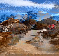 The Big Wave Rock Private Day Tour - Accommodation Nelson Bay