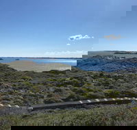 Penguin Island And Fremantle - Canoe Chocolate  Coffee - Accommodation Nelson Bay