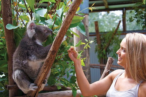 Private Guided Tour: Blue Mountains Tour From Sydney - Accommodation Nelson Bay 5