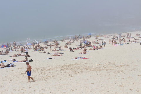 Sydney Shore Excursion: Half-Day Sydney City Highlights With Bondi Beach And Watsons Bay - Accommodation Nelson Bay 4