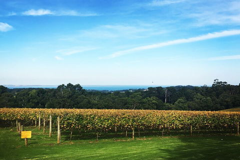 Mornington Peninsula Tour Inc Chairlift,beach Boxes,lunch,choc Tasting And More - Accommodation Nelson Bay 2