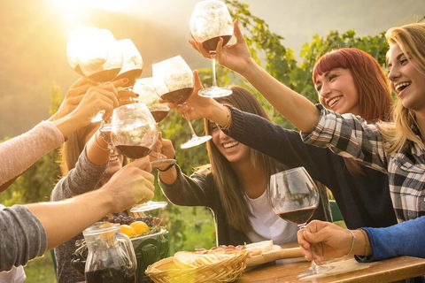 Mornington Peninsula Tour Inc Chairlift,beach Boxes,lunch,choc Tasting And More - Accommodation Nelson Bay 3